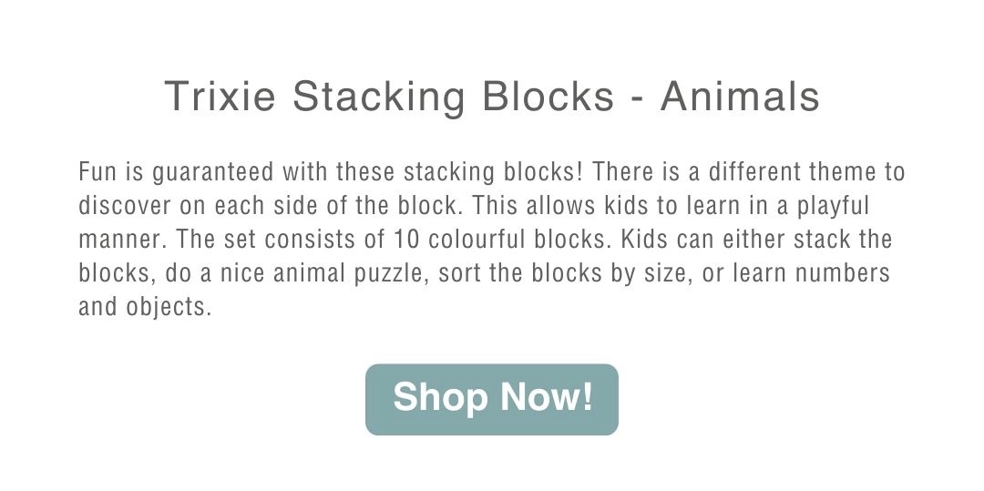 Sort & Learn Animal Stacking Blocks Set